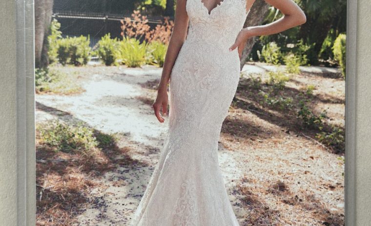 NB 163 HALO FRONT IV, WH, IV GD, IV TP